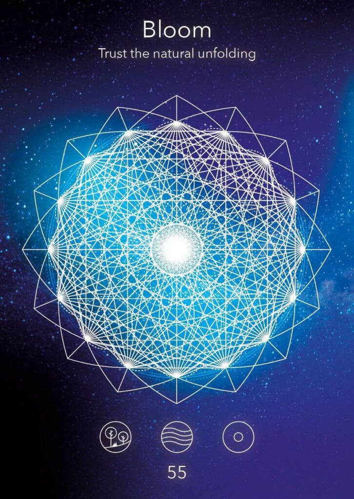 Bloom mandala design featuring intricate geometric patterns and a central light source, symbolizing natural unfolding and growth.