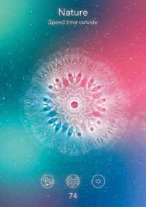 Ingewikkelde mandala met natuurthema design met bloemen en geometrische elementen, ideaal voor natuurliefhebbers en kunstliefhebbers.