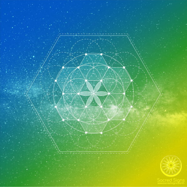 Awaken