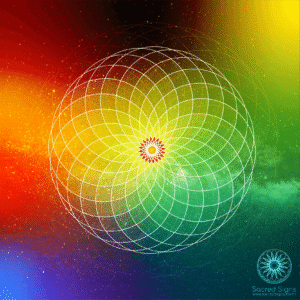 Colorful geometric pattern featuring a grid design with a central flower motif