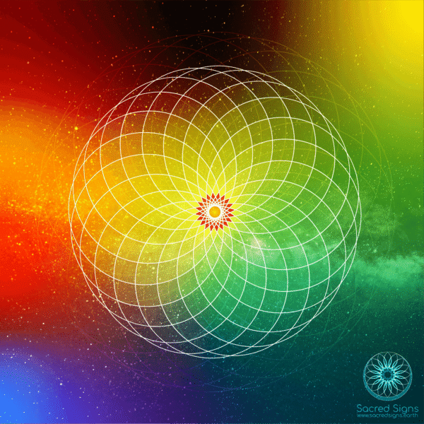 Colorful geometric pattern featuring a grid design with a central flower motif