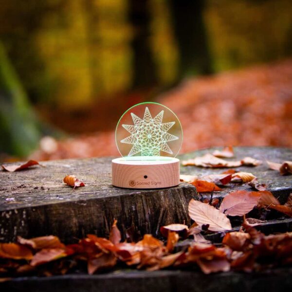 Large Ornament - Possibilities - Image 26